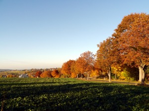 Herbst 2012